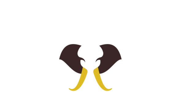 Шаблон логотипа на тему графика