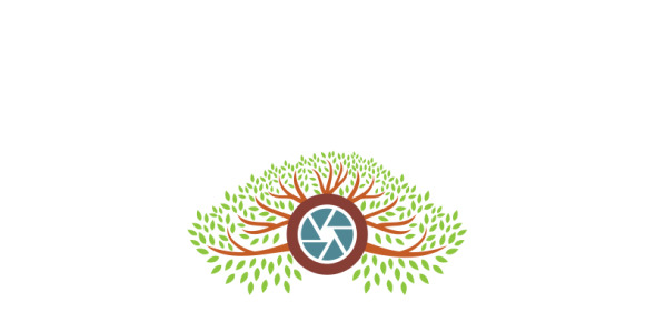 Шаблон логотипа на тему графика