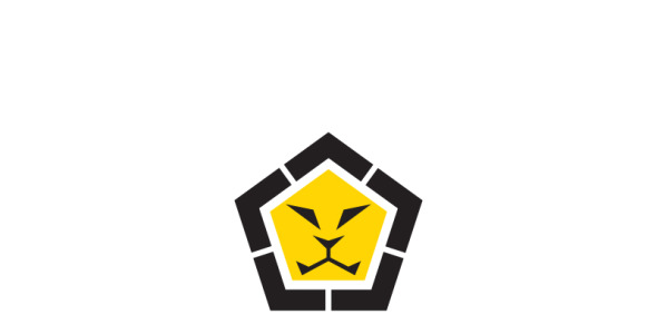 Шаблон логотипа на тему графика