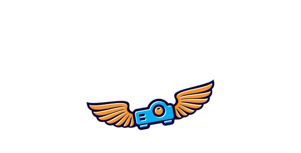 Шаблон логотипа на тему графика