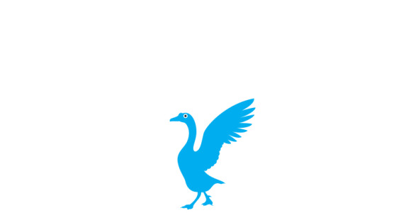 Шаблон логотипа на тему графика