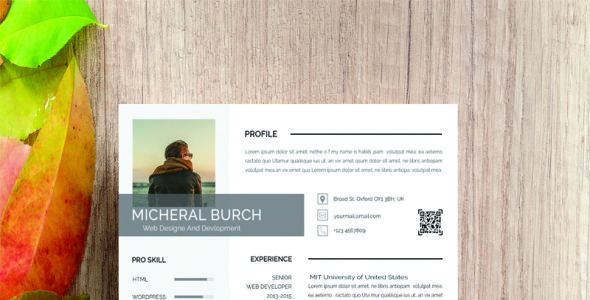 Резюме на тему графика