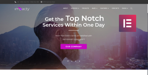 бизнес консалтинг wordpress elementor theme