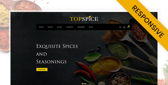 лучший шаблон магазина специй opencart