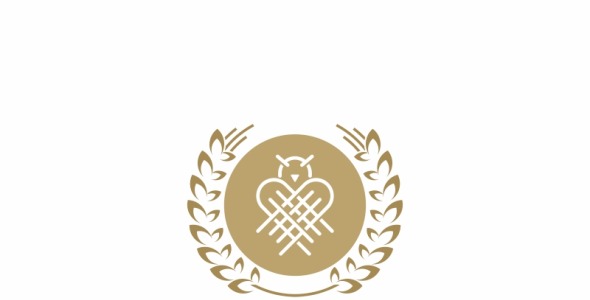 Шаблон логотипа на тему графика