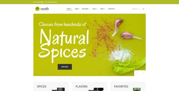 магазин специй elementor тема woocommerce