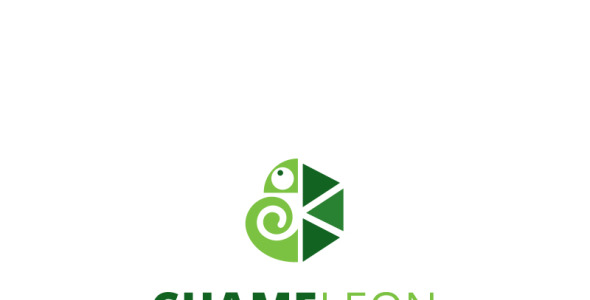 Шаблон логотипа на тему графика