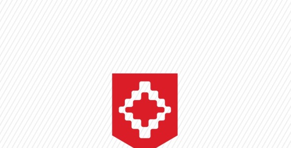 Шаблон логотипа на тему графика