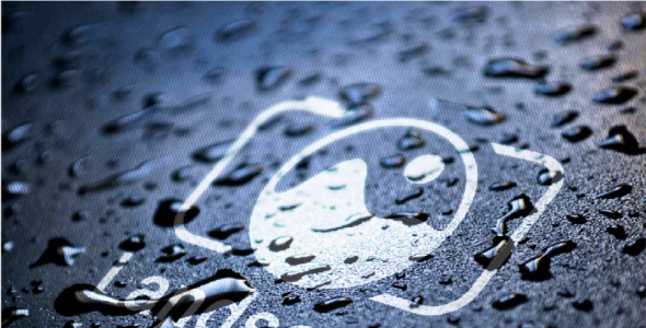 Шаблон логотипа на тему графика