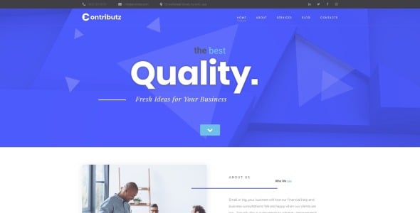 корпоративный консалтинг wordpress elementor theme