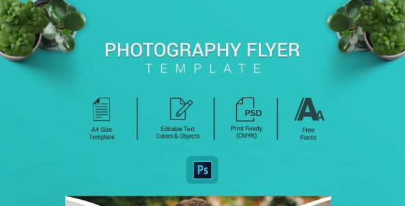 Фирменный стиль на тему графика
