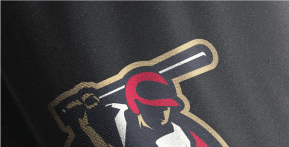 Шаблон логотипа на тему графика