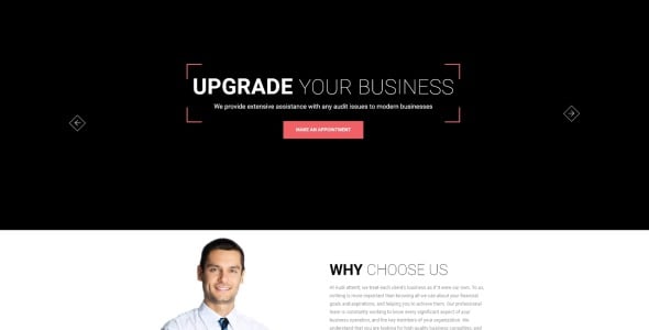 бизнес аудит html5 шаблон целевой страницы