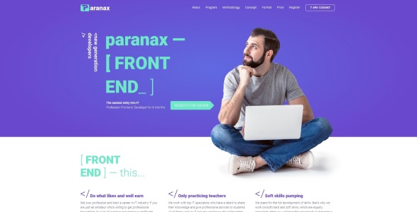 it курсы wordpress elementor theme