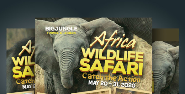 Фирменный стиль на тему графика