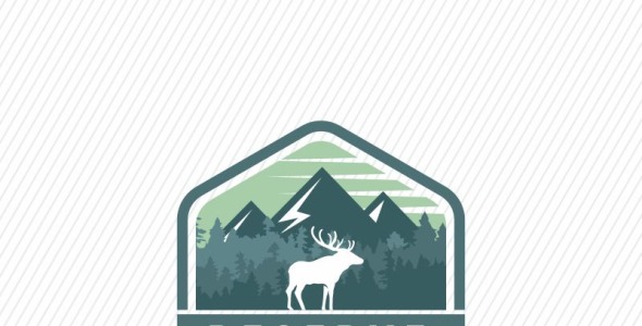 Шаблон логотипа на тему графика