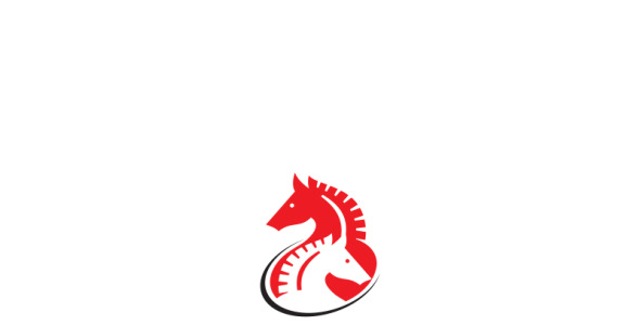 Шаблон логотипа на тему графика