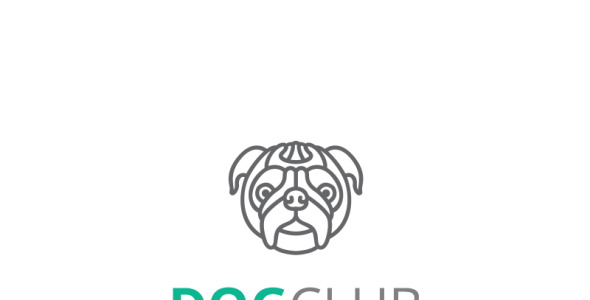 Шаблон логотипа на тему графика