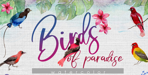 Иллюстрация на тему графика