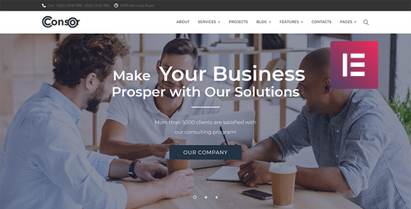 бизнес консалтинг wordpress elementor theme