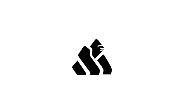 Шаблон логотипа на тему графика