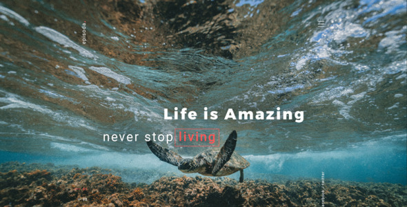 личная фотогалерея, шаблон сайта блога