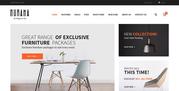 отзывчивая и настраиваемая тема magento