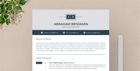 Адаптивный Резюме на тему графика