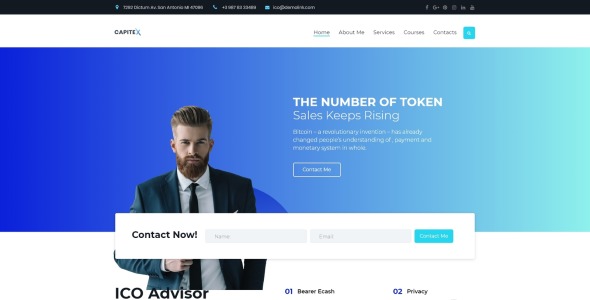 ico маркетинг wordpress elementor тема