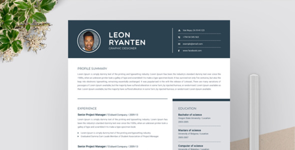 Адаптивный Резюме на тему графика