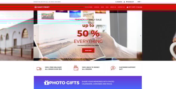 печать мультивалютной простой темы shopify