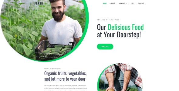 доставка еды универсальная минимальная тема wordpress elementor