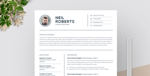 Резюме на тему графика