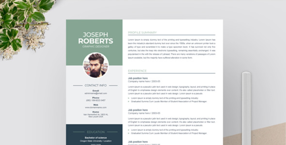 Адаптивный Резюме на тему графика