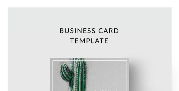 Фирменный стиль на тему графика