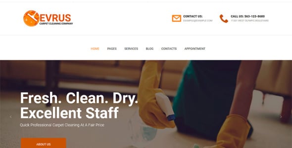 чистка ковров и дезинфекция wordpress тема