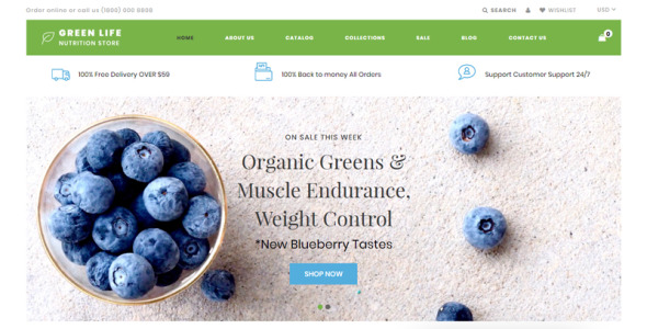 питание отзывчивая простая тема shopify