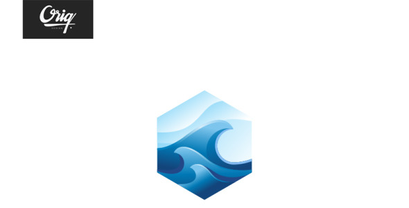 Шаблон логотипа на тему графика