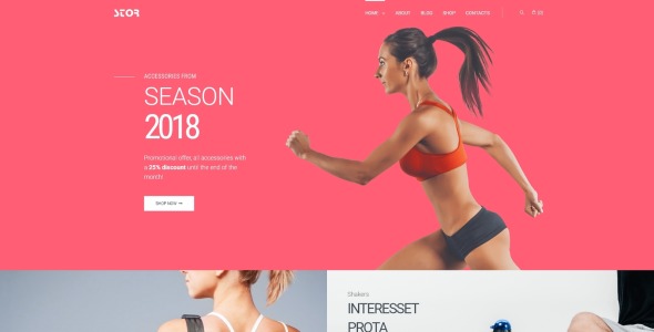 магазин аксессуаров для фитнеса универсальная классическая тема elementor woocommerce