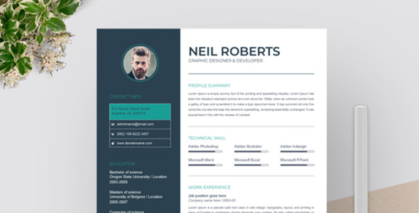 Резюме на тему графика