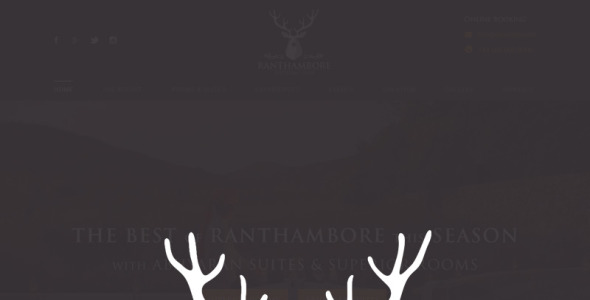 Адаптивный PSD шаблон на тему графика