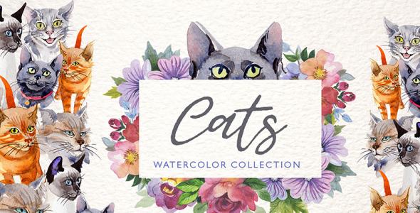 Иллюстрация на тему графика