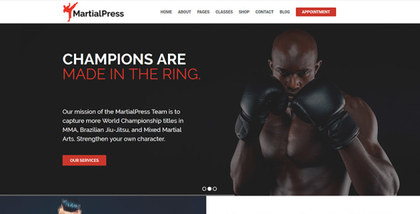 школа боевых искусств и клуб wordpress тема