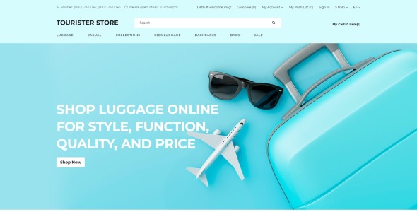 используйте чистый шаблон opencart