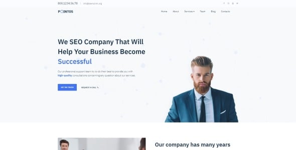 seo консалтинг многоцелевая современная тема wordpress elementor