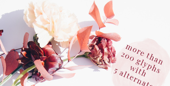 Шрифт на тему графика