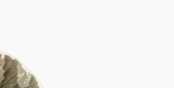 Шрифт на тему графика