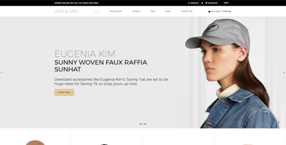 модная многостраничная элегантная тема shopify