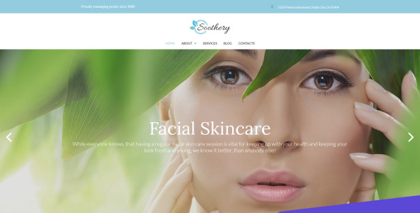 спа и массажный салон moto cms 3 шаблон