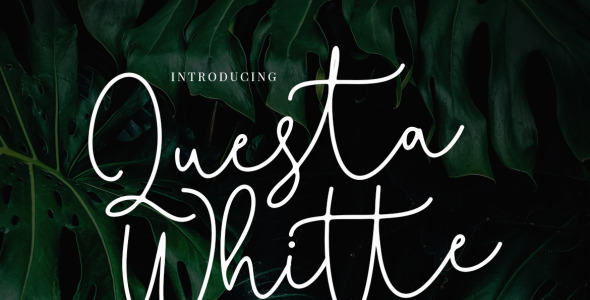 Шрифт на тему графика